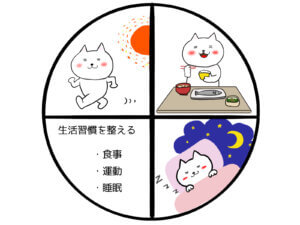 規則正しい生活